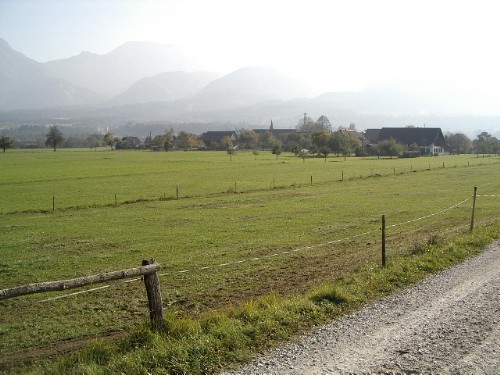 Zeluce 191003 029.jpg